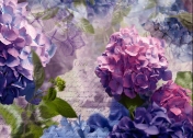 poster NO 14-705-8